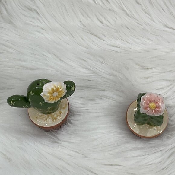 Cactus Cacti Blossom Salt and Pepper Shaker Set Green White Brown - Picture 4 of 9